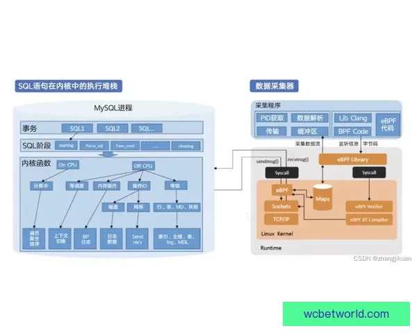 世界杯体育竞猜分析技巧与趋势预测全面解析